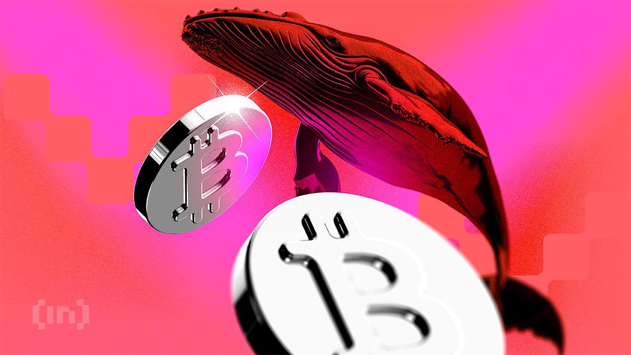 Ki Young Ju表示,比特币下跌趋势受早期巨鲸抛售驱动。